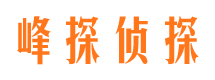 新城区找人公司